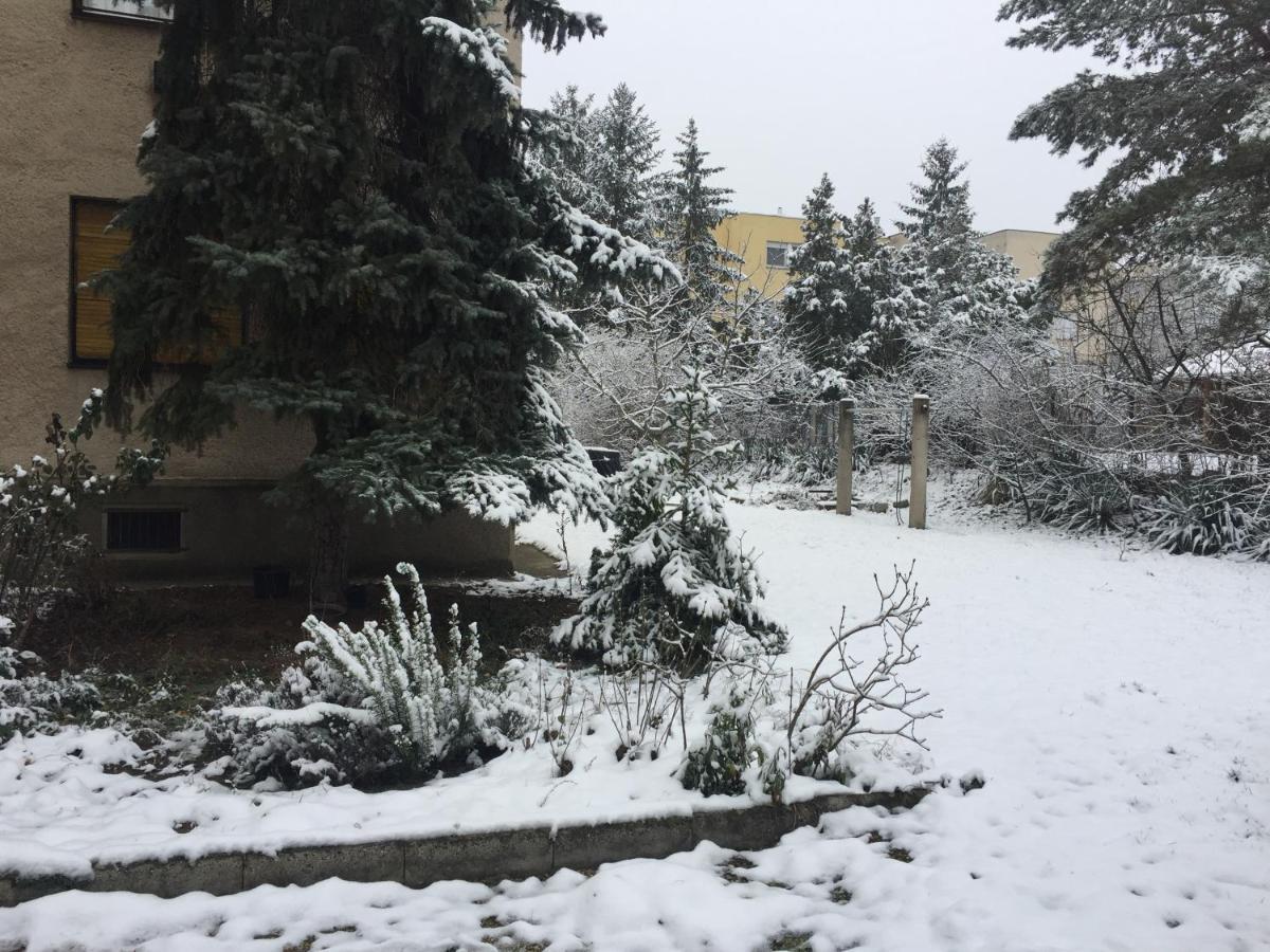 Next To University Debrecen Ngoại thất bức ảnh